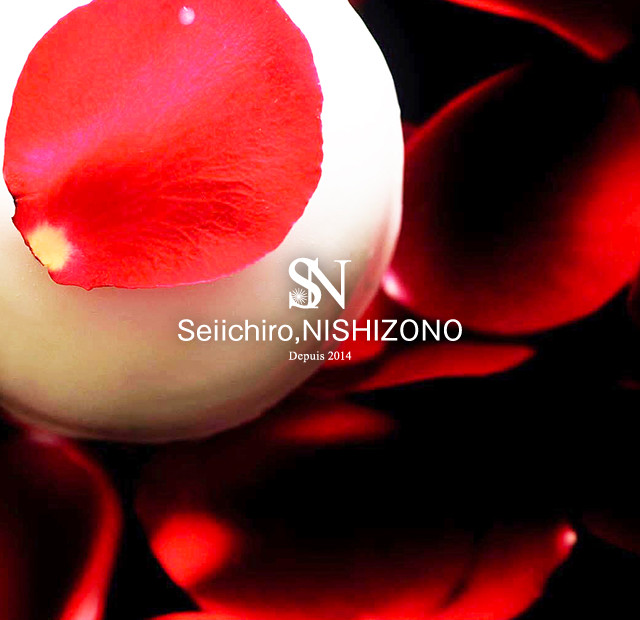 Seiichiro,NISHIZONO